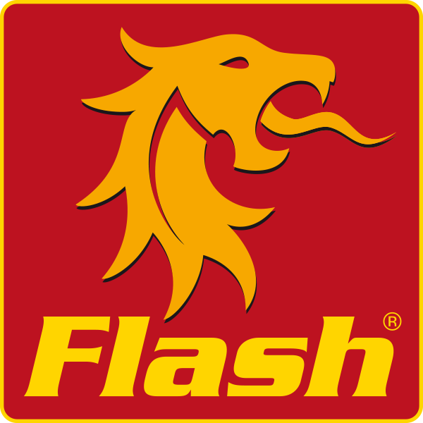flash-logo-web