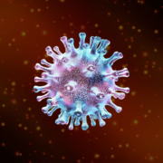 Corona Virus