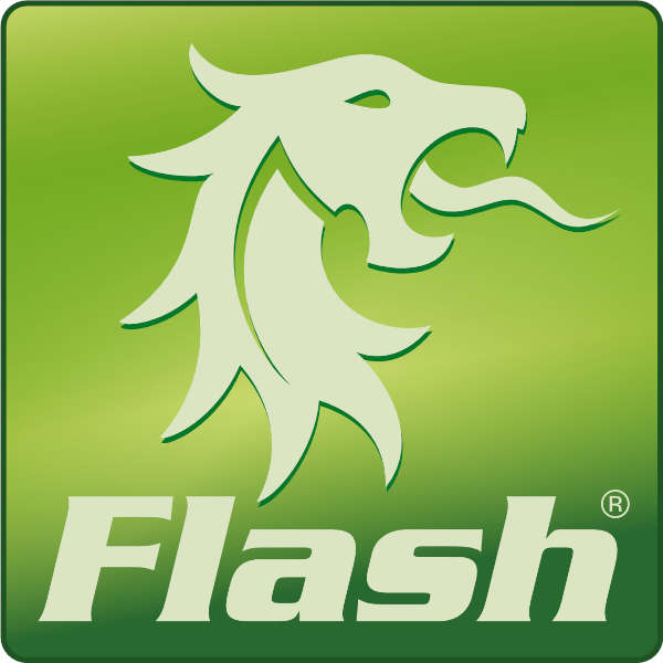FLASH Logo Grün
